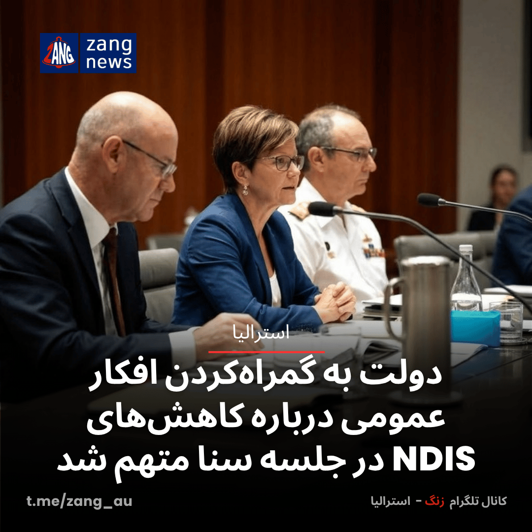 دولت به گمراه‌کردن افکار عمومی درباره کاهش‌های NDIS در جلسه سنا متهم شد