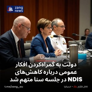 دولت به گمراه‌کردن افکار عمومی درباره کاهش‌های NDIS در جلسه سنا متهم شد