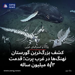 کشف بزرگ‌ترین گورستان نهنگ‌ها در غرب پرت؛ قدمت ۵/۳ میلیون ساله