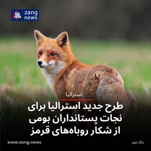 طرح جدید استرالیا برای نجات پستانداران بومی از شکار روباه‌های قرمز
