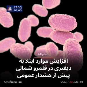 افزایش موارد ابتلا به دیفتری در قلمرو شمالی پیش از هشدار عمومی