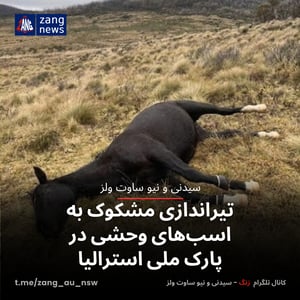تیراندازی مشکوک به اسب‌های وحشی در پارک ملی استرالیا