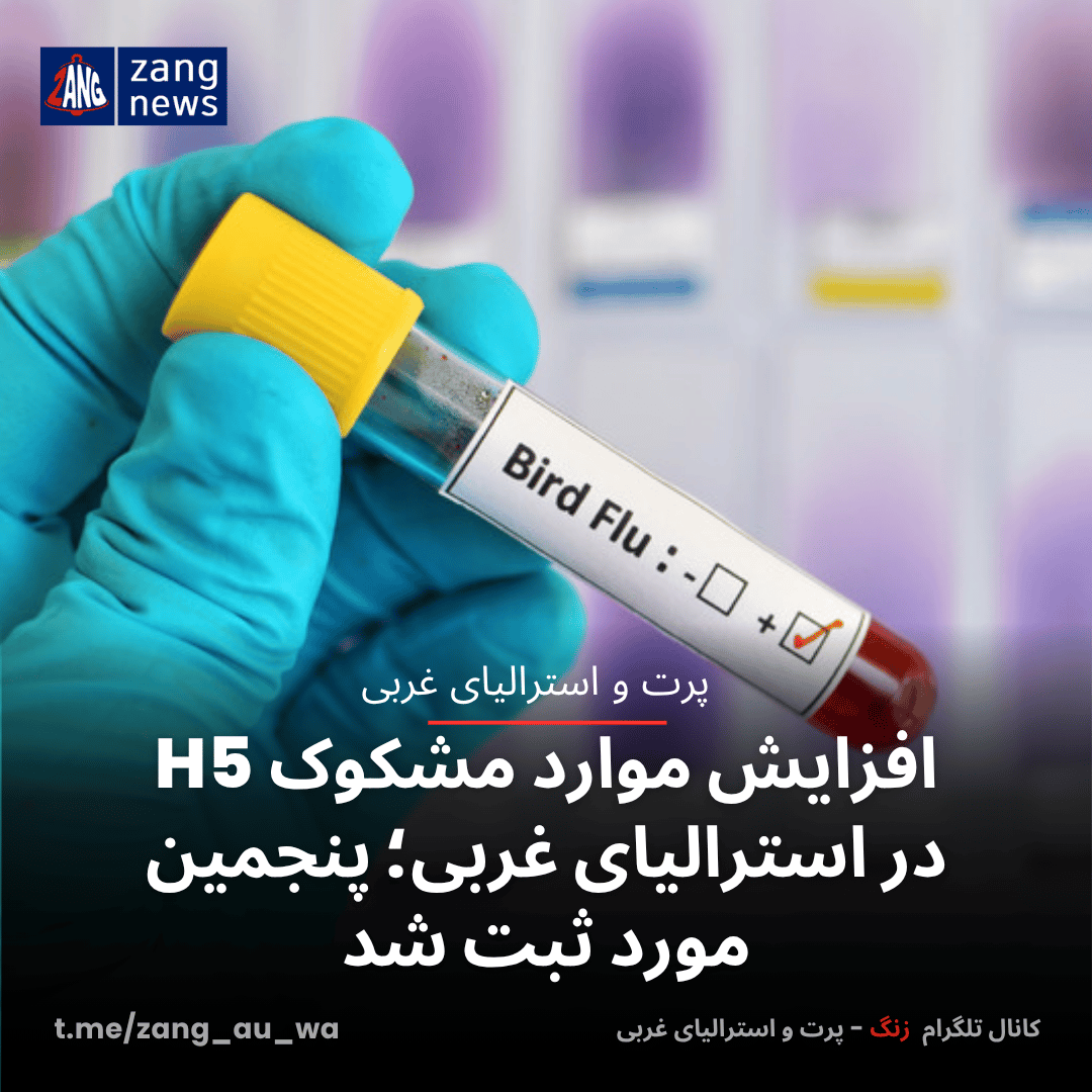 افزایش موارد مشکوک H5 در استرالیای غربی؛ پنجمین مورد ثبت شد