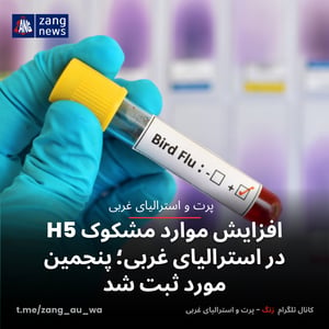 افزایش موارد مشکوک H5 در استرالیای غربی؛ پنجمین مورد ثبت شد