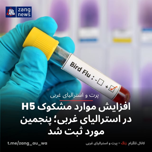 افزایش موارد مشکوک H5 در استرالیای غربی؛ پنجمین مورد ثبت شد