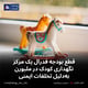 قطع بودجه فدرال یک مرکز نگهداری کودک در ملبورن به‌دلیل تخلفات ایمنی