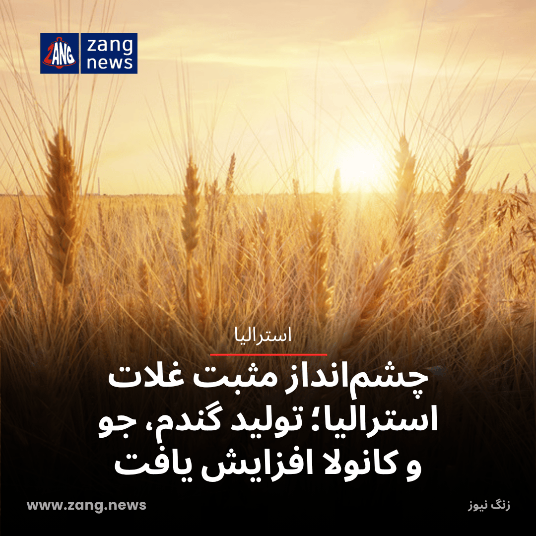 چشم‌انداز مثبت غلات استرالیا؛ تولید گندم، جو و کانولا افزایش یافت