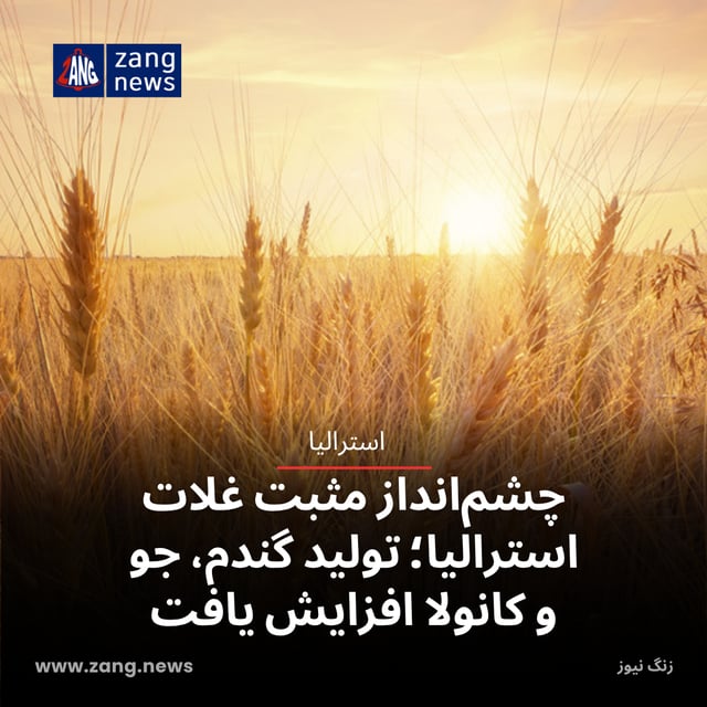 چشم‌انداز مثبت غلات استرالیا؛ تولید گندم، جو و کانولا افزایش یافت
