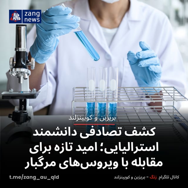 کشف تصادفی دانشمند استرالیایی؛ امید تازه برای مقابله با ویروس‌های مرگبار