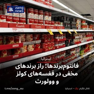 فانتوم‌برندها؛ راز برندهای مخفی در قفسه‌های کولز و وولورث