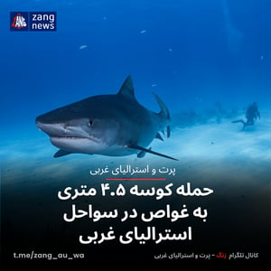 حمله کوسه ۴.۵ متری به غواص در سواحل استرالیای غربی