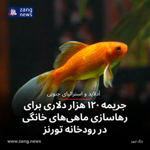 جریمه ۱۲۰ هزار دلاری برای رهاسازی ماهی‌های خانگی در رودخانه‌ تورنز