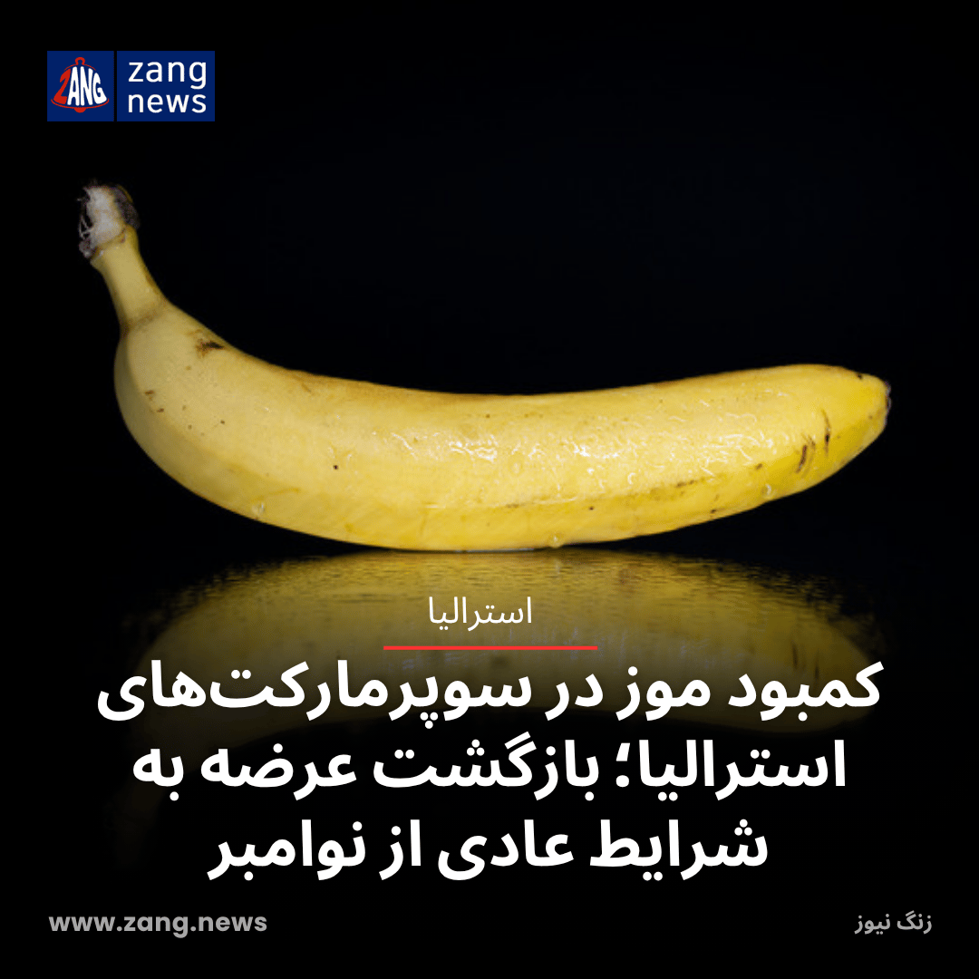 کمبود موز در سوپرمارکت‌های استرالیا؛ بازگشت عرضه به شرایط عادی از نوامبر