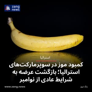 کمبود موز در سوپرمارکت‌های استرالیا؛ بازگشت عرضه به شرایط عادی از نوامبر
