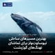 بهترین مسیرهای ساحلی نیوساوت‌ولز برای تماشای نهنگ‌های گوژپشت