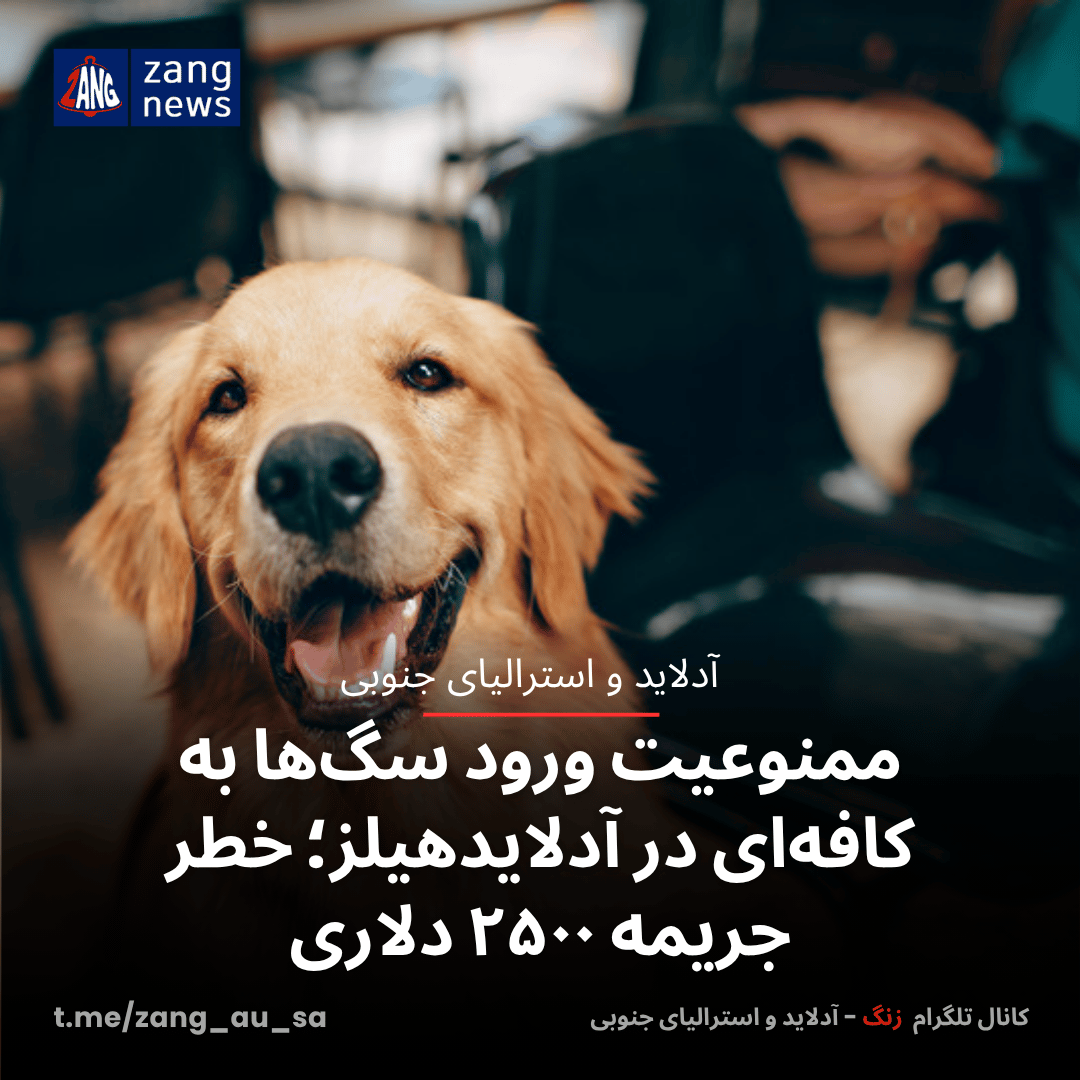 ممنوعیت ورود سگ‌ها به کافه‌ای در آدلایدهیلز؛ خطر جریمه ۲۵۰۰ دلاری