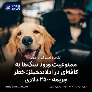 ممنوعیت ورود سگ‌ها به کافه‌ای در آدلایدهیلز؛ خطر جریمه ۲۵۰۰ دلاری