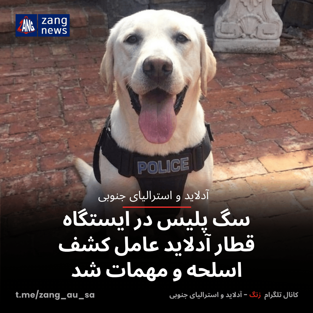 سگ پلیس در ایستگاه قطار آدلاید عامل کشف اسلحه و مهمات شد