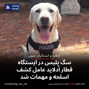 سگ پلیس در ایستگاه قطار آدلاید عامل کشف اسلحه و مهمات شد