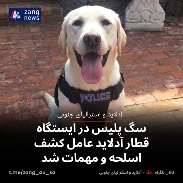 سگ پلیس در ایستگاه قطار آدلاید عامل کشف اسلحه و مهمات شد