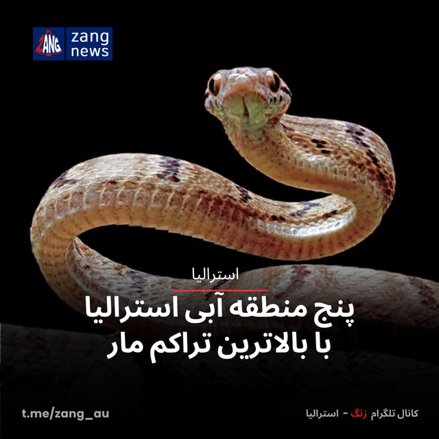 پنج منطقه آبی استرالیا با بالاترین تراکم مار