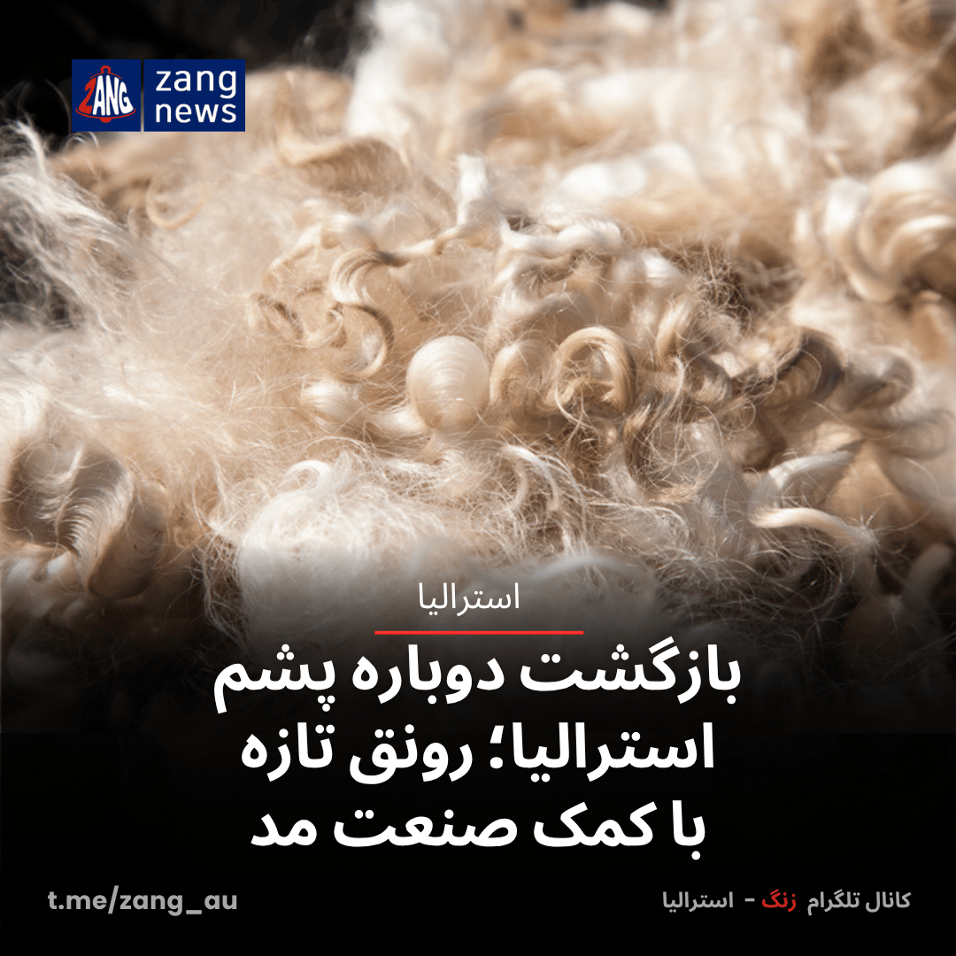 بازگشت دوباره پشم استرالیا؛ رونق تازه با کمک صنعت مد