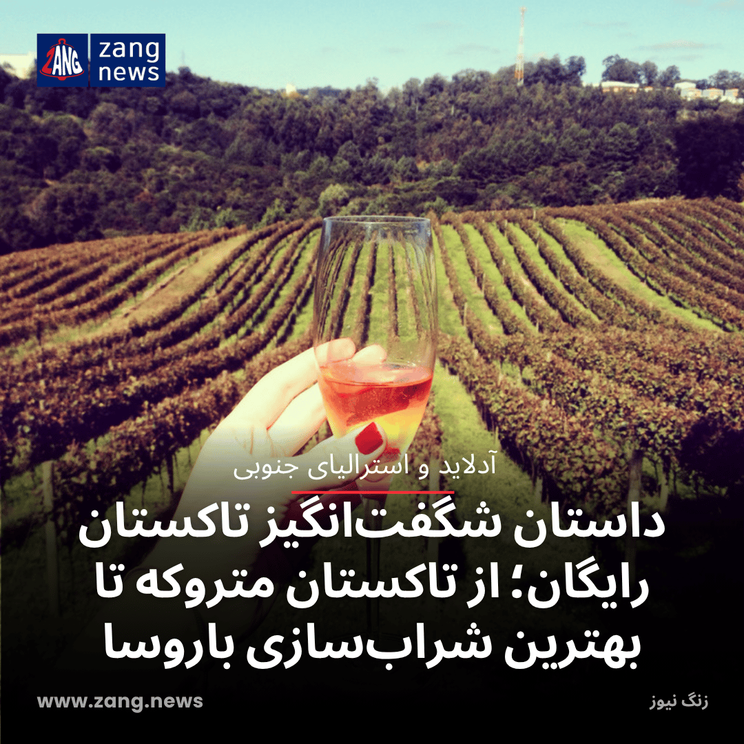 داستان شگفت‌انگیز تاکستان رایگان؛ از تاکستان متروکه تا بهترین شراب‌سازی باروسا