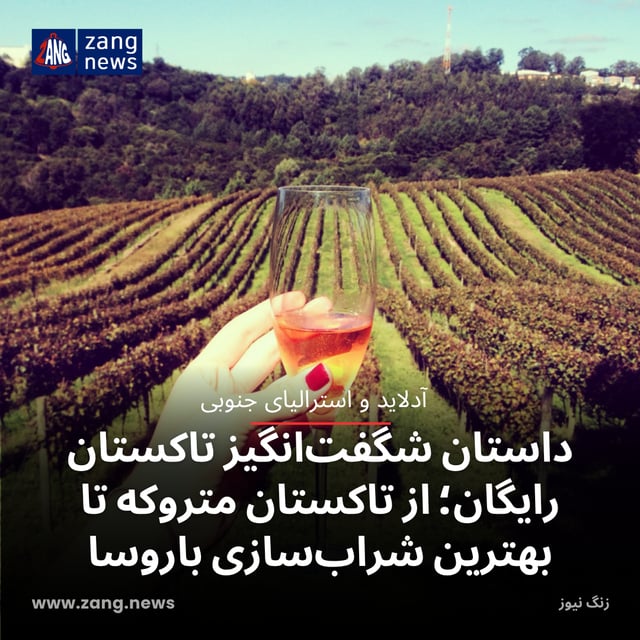 داستان شگفت‌انگیز تاکستان رایگان؛ از تاکستان متروکه تا بهترین شراب‌سازی باروسا