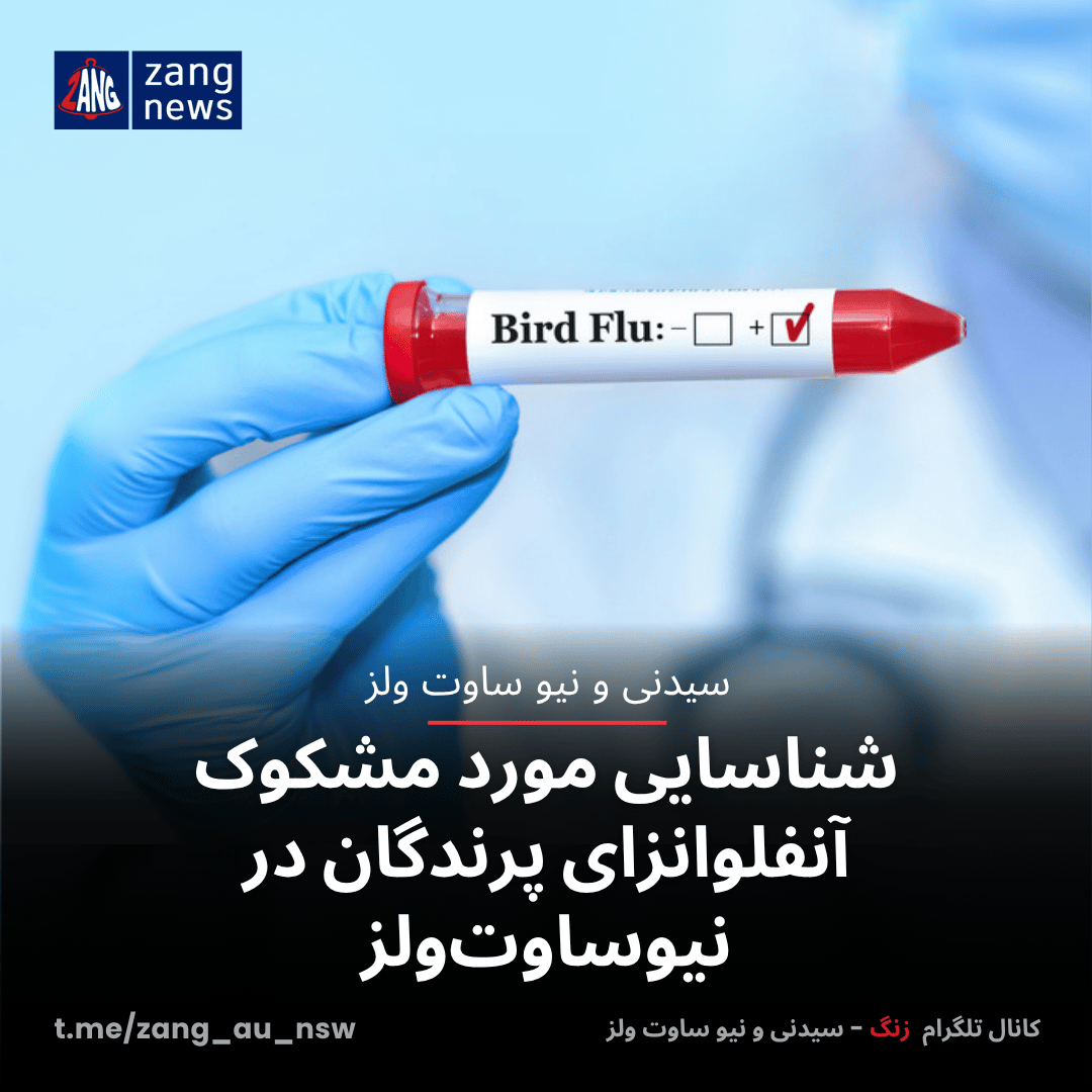 شناسایی مورد مشکوک آنفلوانزای پرندگان در نیوساوت‌ولز