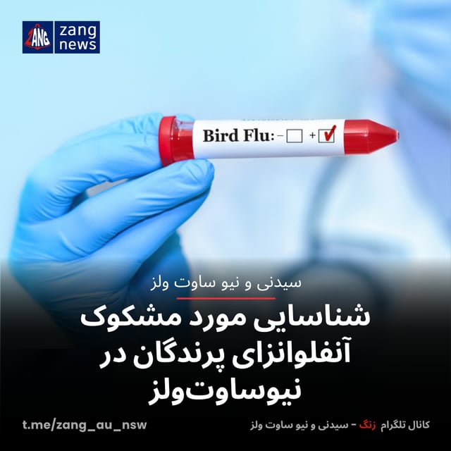 شناسایی مورد مشکوک آنفلوانزای پرندگان در نیوساوت‌ولز