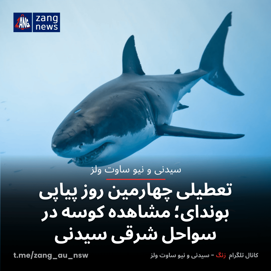 تعطیلی چهارمین روز پیاپی بوندای؛ مشاهده کوسه‌ در سواحل شرقی سیدنی