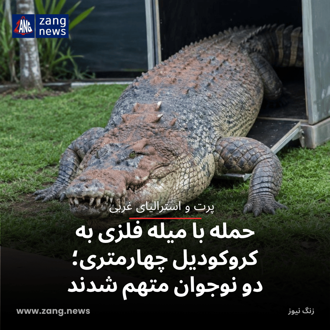 حمله با میله فلزی به کروکودیل چهارمتری؛ دو نوجوان متهم شدند