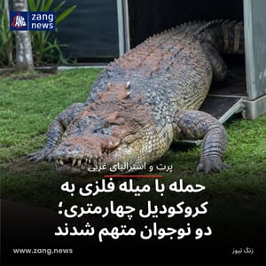 حمله با میله فلزی به کروکودیل چهارمتری؛ دو نوجوان متهم شدند
