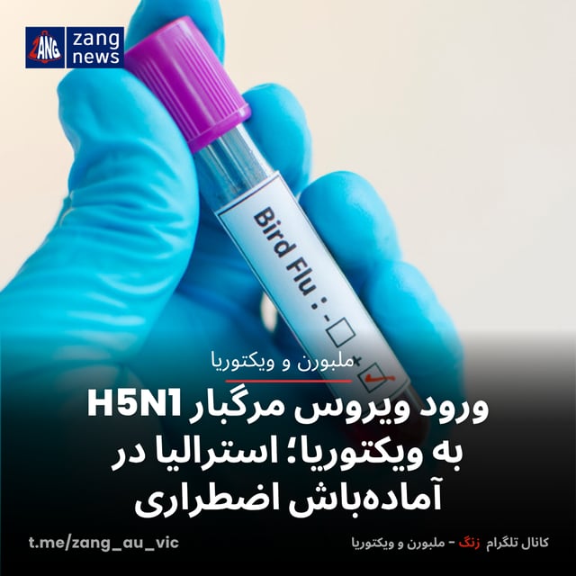ورود ویروس مرگبار H5N1 به ویکتوریا؛ استرالیا در آماده‌باش اضطراری