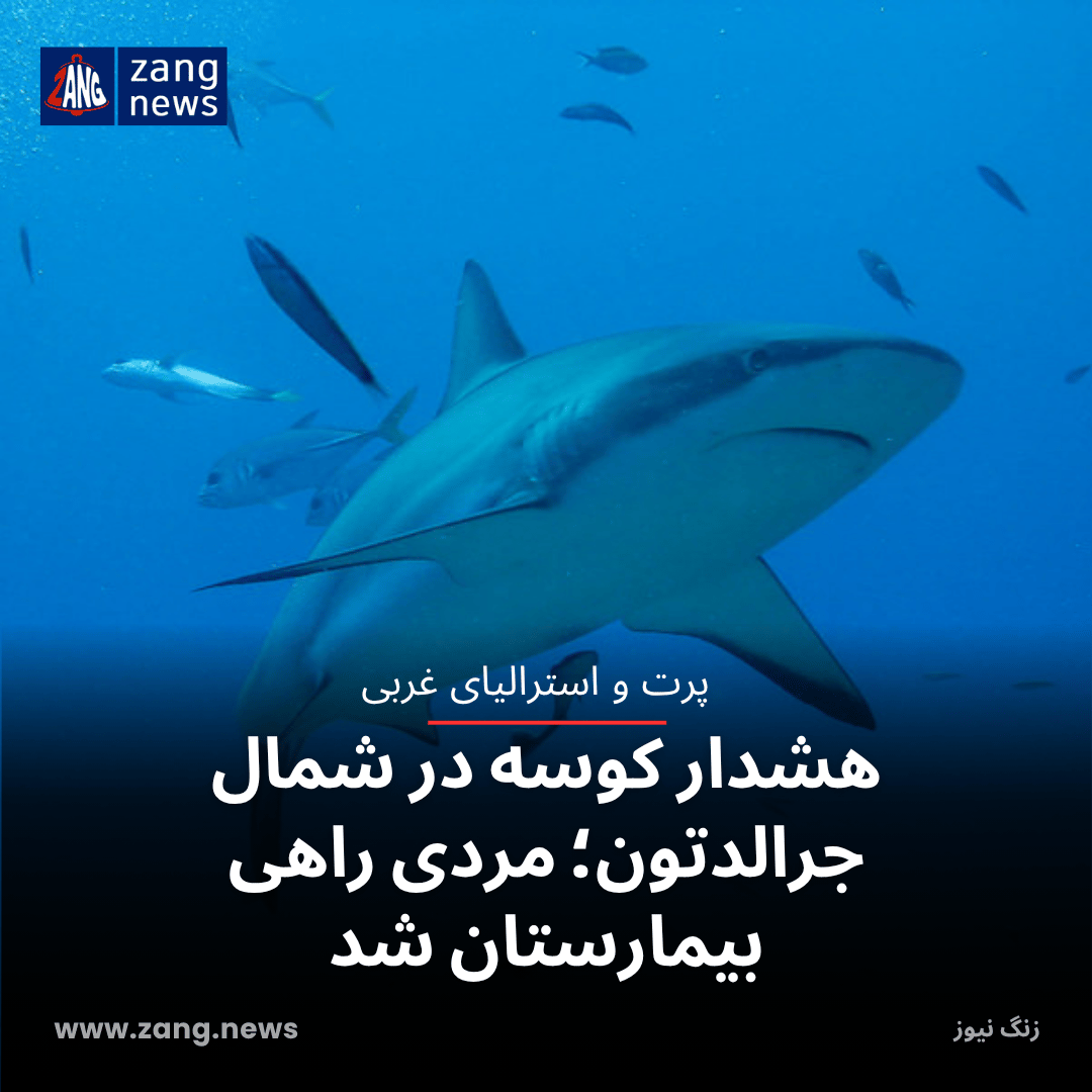 هشدار کوسه در شمال جرالدتون؛ مردی راهی بیمارستان شد