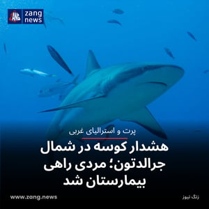 هشدار کوسه در شمال جرالدتون؛ مردی راهی بیمارستان شد