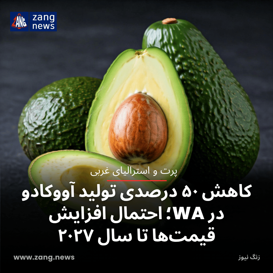 کاهش ۵۰ درصدی تولید آووکادو در WA؛ احتمال افزایش قیمت‌ها تا سال ۲۰۲۷