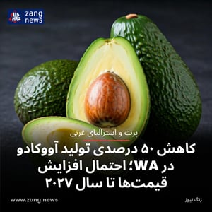 کاهش ۵۰ درصدی تولید آووکادو در WA؛ احتمال افزایش قیمت‌ها تا سال ۲۰۲۷