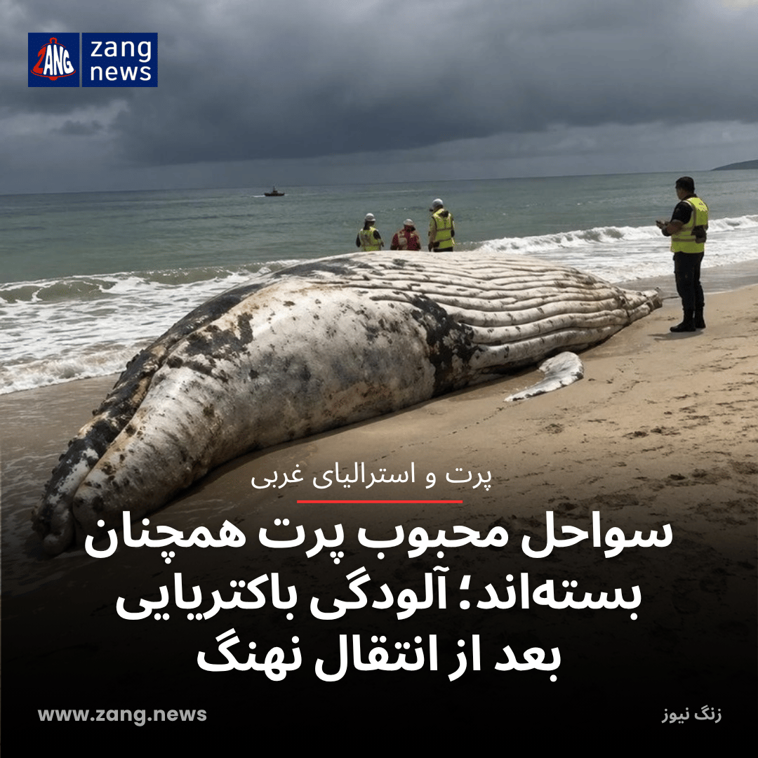 سواحل محبوب پرت همچنان بسته‌اند؛ آلودگی باکتریایی بعد از انتقال نهنگ