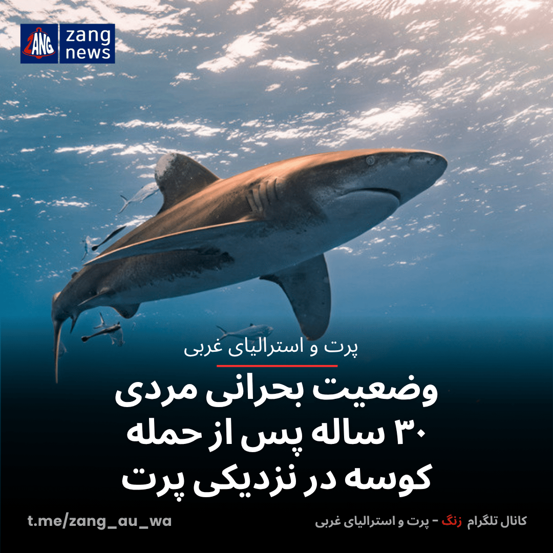 وضعیت بحرانی مردی ۳۰ ساله پس از حمله کوسه در نزدیکی پرت
