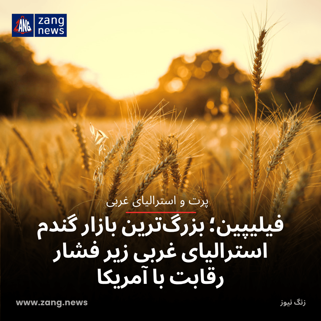 فیلیپین؛ بزرگ‌ترین بازار گندم استرالیای غربی زیر فشار رقابت با آمریکا