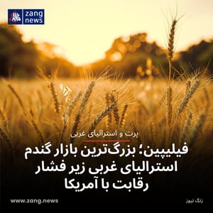 فیلیپین؛ بزرگ‌ترین بازار گندم استرالیای غربی زیر فشار رقابت با آمریکا