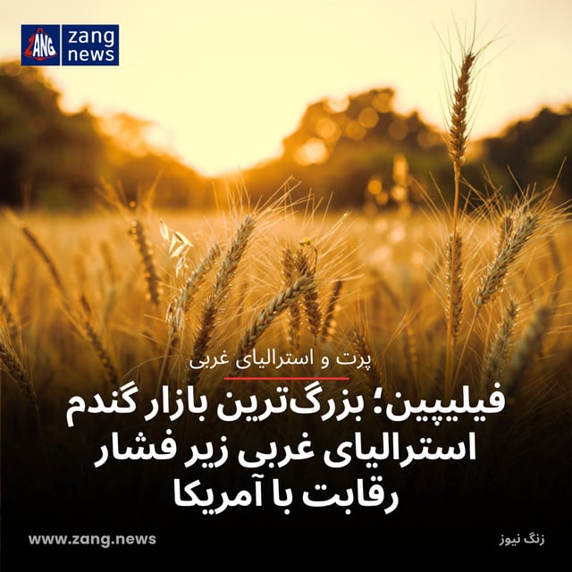 فیلیپین؛ بزرگ‌ترین بازار گندم استرالیای غربی زیر فشار رقابت با آمریکا
