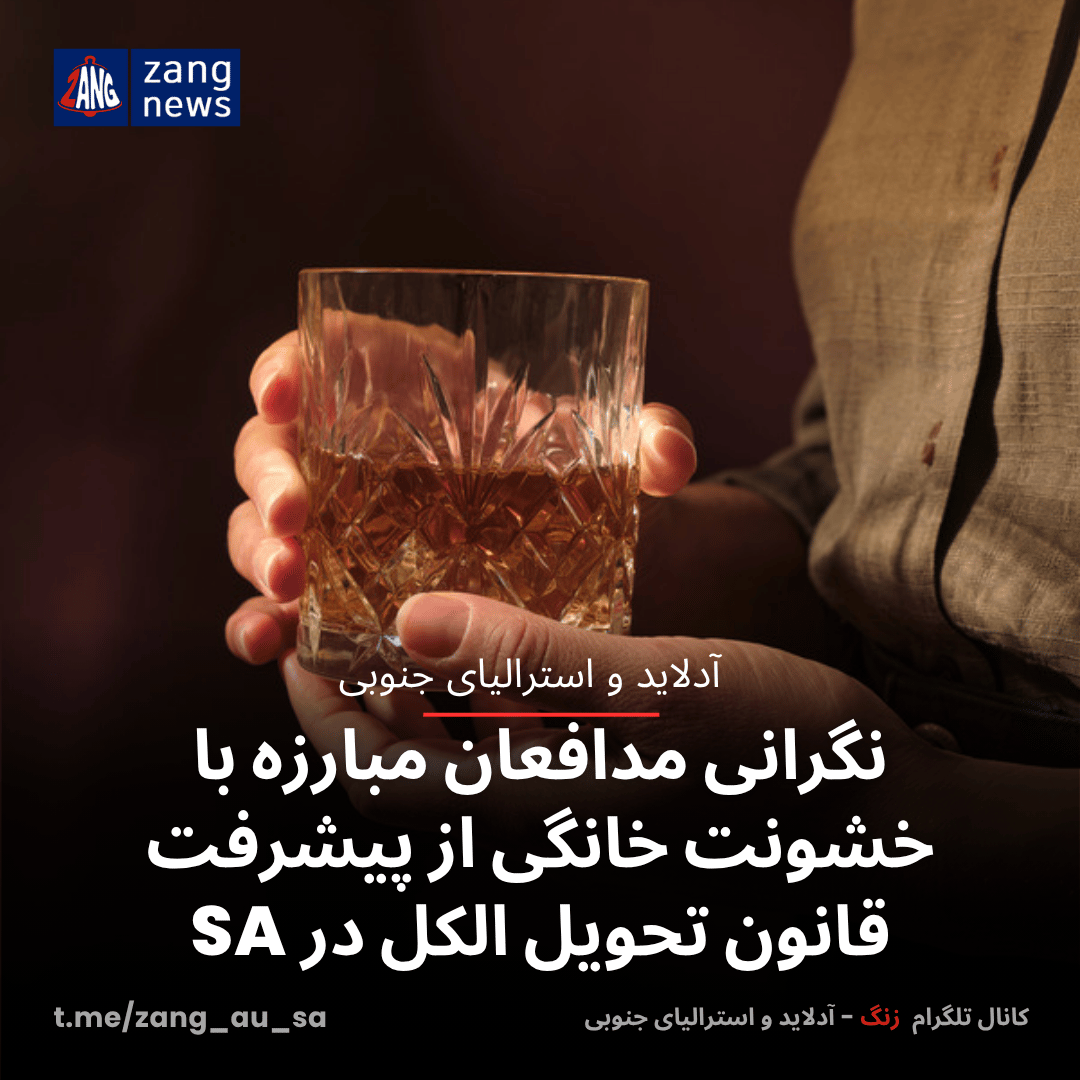 نگرانی مدافعان مبارزه با خشونت خانگی از پیشرفت قانون تحویل الکل در SA