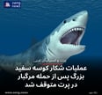 عملیات شکار کوسه سفید بزرگ پس از حمله مرگبار در پرت متوقف شد
