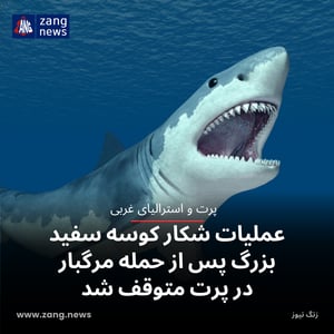 عملیات شکار کوسه سفید بزرگ پس از حمله مرگبار در پرت متوقف شد