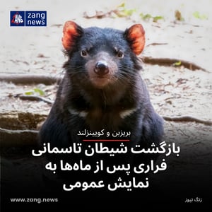 بازگشت شیطان تاسمانی فراری پس از ماه‌ها به نمایش عمومی