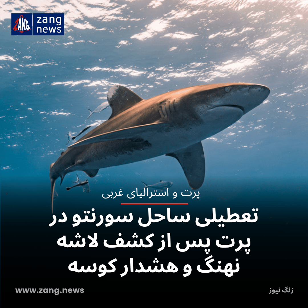 تعطیلی ساحل سورنتو در پرت پس از کشف لاشه نهنگ و هشدار کوسه