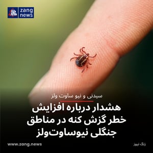 هشدار درباره افزایش خطر گزش کنه در مناطق جنگلی نیوساوت‌ولز