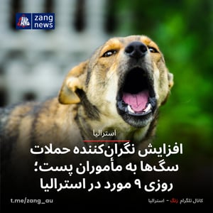 افزایش نگران‌کننده حملات سگ‌ها به مأموران پست؛ روزی ۹ مورد در استرالیا